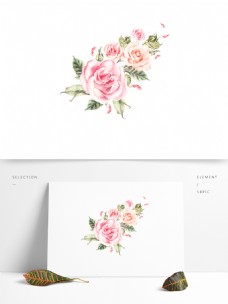 手绘的蔷薇花素材可商用