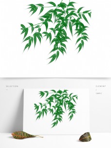 水彩竹子手绘清新