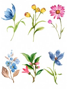 小清新水彩手绘植物花卉春天元素