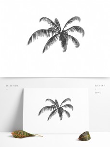 树木树叶手绘黑白枯木椰子树叶剪影可商用素材