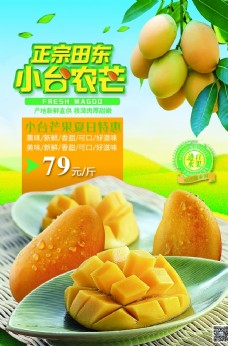 新鲜水果芒果海报