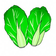 绿色手绘白菜食物元素