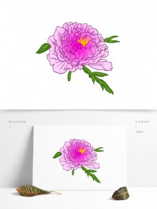 手绘牡丹花朵插画可商用