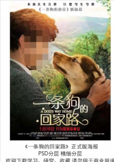 电影一条狗的回家路终极分层海报