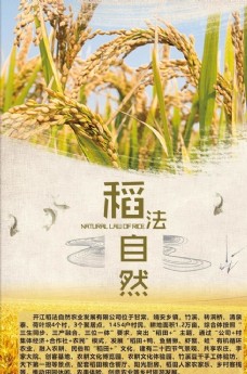 大自然稻发自然