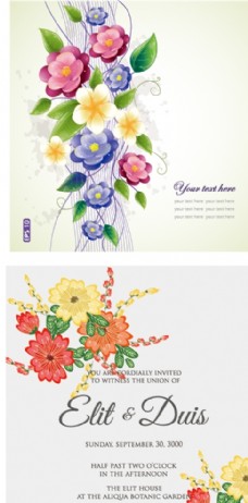 挂画花卉卡片