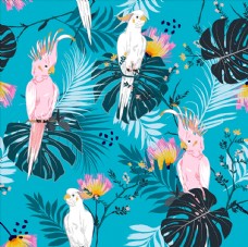 淘宝海报鹦鹉动物卡通热带花卉图案