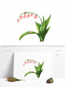 可商用高清手绘花卉铃兰花