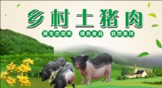 绿色花乡村土猪肉