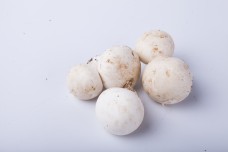 一些白色口蘑蘑菇特写3