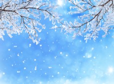 冬天雪景冬天雪树枝雪花天空背景