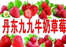 草莓 食品 背景 夏天