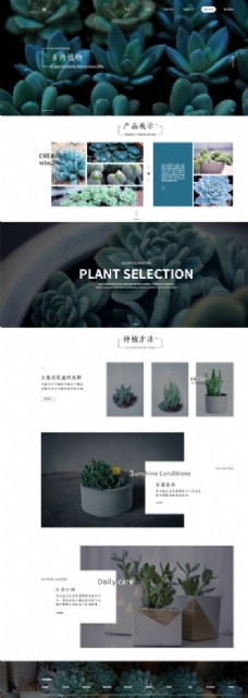 网页模板多肉植物网页设计