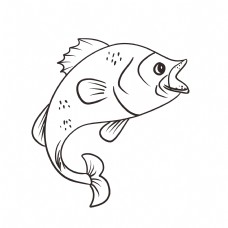 鱼黑白线稿手绘插画