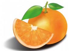 有机水果手绘橙子