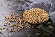 杂粮黄豆实物图摄影图2