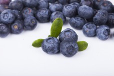 实物图摄影图新鲜蓝莓