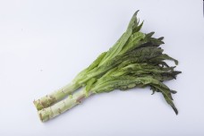 实物图摄影图新鲜蔬菜莴苣2