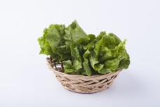 实物图摄影图新鲜蔬菜生菜
