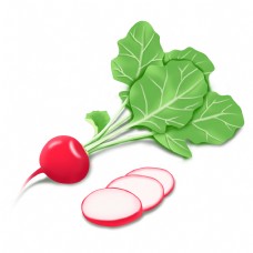 绿色蔬菜手绘萝卜红萝卜蔬菜