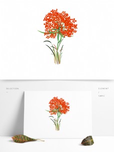 手盆手绘红色植物小花卉盆景