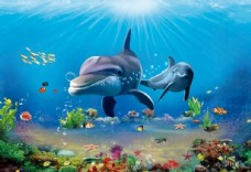 海豚世界3D海豚海底世界