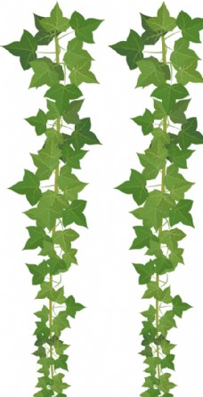 绿树绿色藤蔓矢量插图免抠图树叶素材