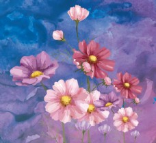 欧式花纹背景手绘波斯菊