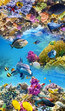 海豚世界高清美丽海底世界海豚3D地板立