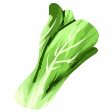绿色蔬菜手绘写实青菜油菜