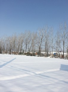 雪景大雪雪自然风景