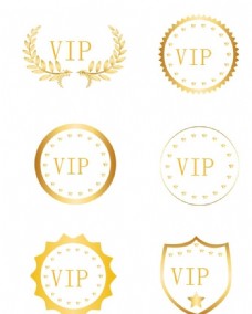 vip贵宾卡VIP图标