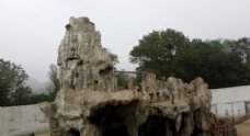 北京八达岭野生动物园 猴子