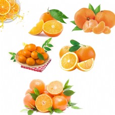 橙汁海报桔子