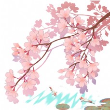 春天风景日本春天樱花锦鲤池塘风景