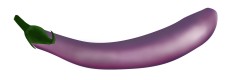 千库原创仿真食材紫色长茄子