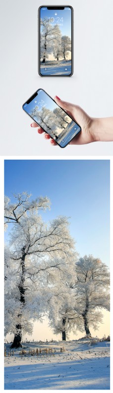 雪地雾凇岛手机壁纸