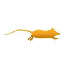 金色小老鼠逃离图