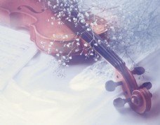 唯美的小提琴