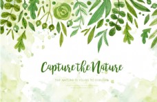 画册封面背景绿色植物花朵花卉树叶手绘背景