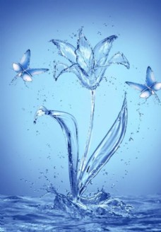 水珠素材水构成的蝴蝶百合花