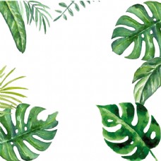 创意绿叶棕榈边框设计材料