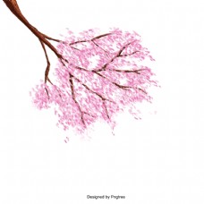 樱桃用鲜花blossom-tree矢量插图