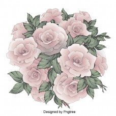牡丹卡通美丽手绘花卉