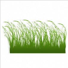 绿色叶子简单的天然植物元素设计