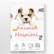 韩国帽风格可爱的小狗宠物动物海报