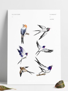 鸟类动物鸟类水墨画国画水彩春分燕子麻雀八哥动物