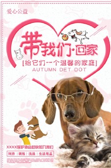 宠物狗公益海报