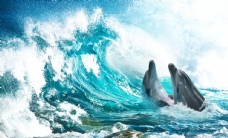 洋房海洋海豚分层巨浪