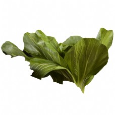 健康蔬菜绿色蔬菜新鲜生菜绿色植物健康产品实物免扣png